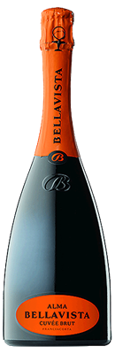 VINO BELLAVISTA FRANCIACORTA ALMA CL.75